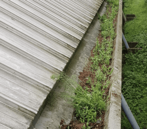 Happy customers in Crowthorne who trust The Roof Moss Cleaners for gutter cleaning services